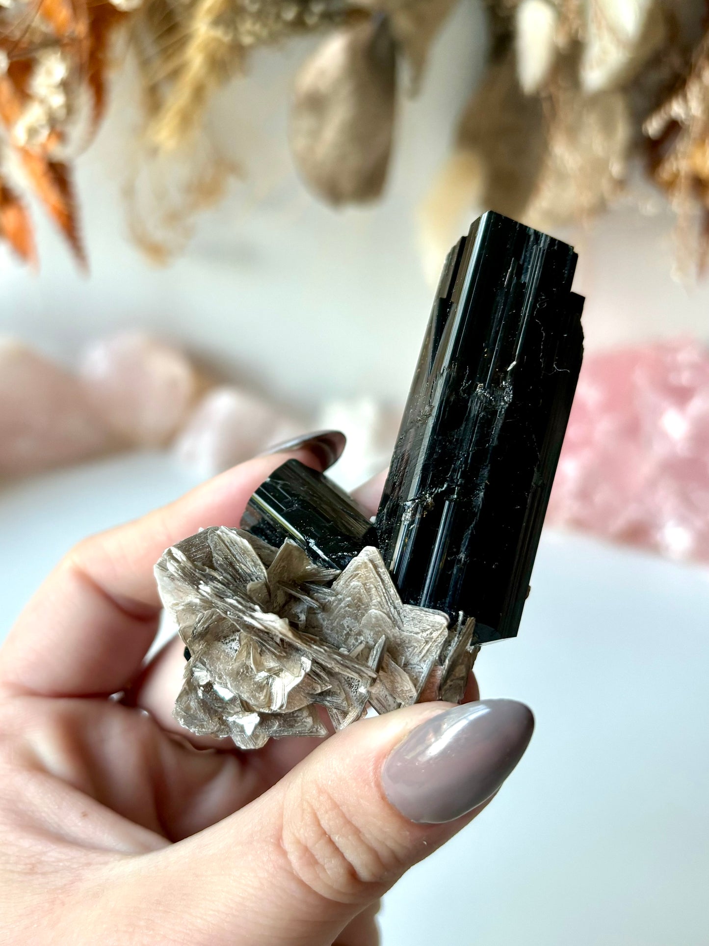 Schorl Tourmaline with Muscovite