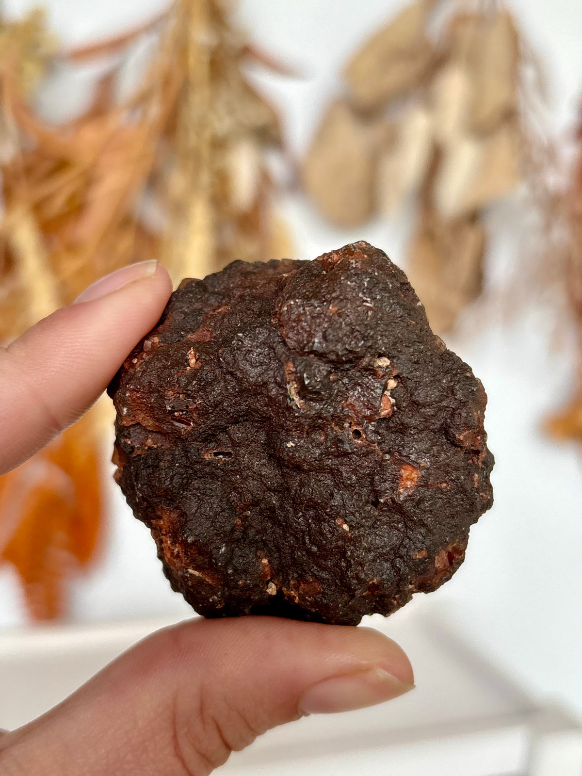 Red Fox Agate Botryoidal Geode (Rare) (06)