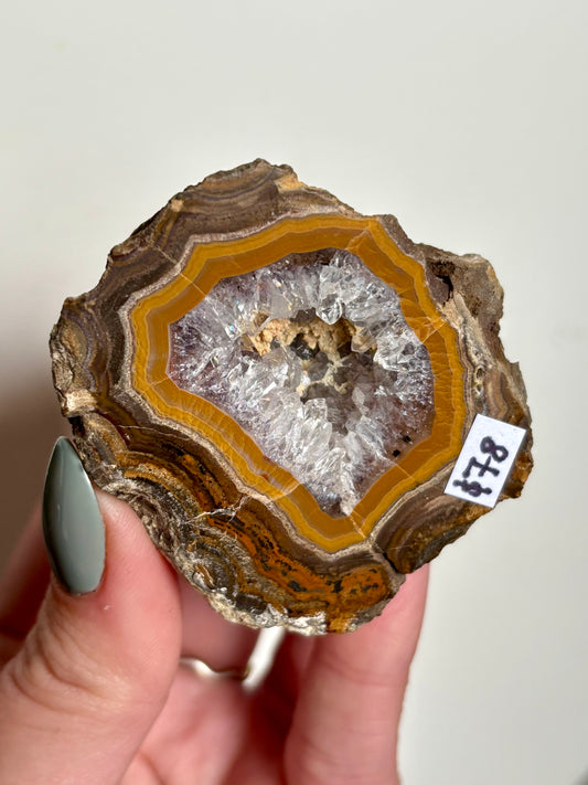 Mustard banded Agate with Quartz & Amethyst Geode