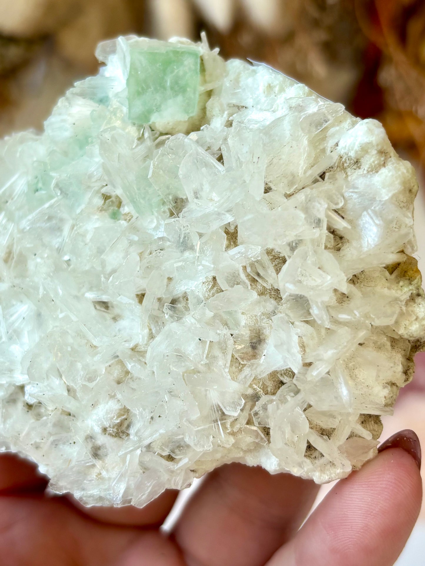 Fluorite Cubes on Scolecite