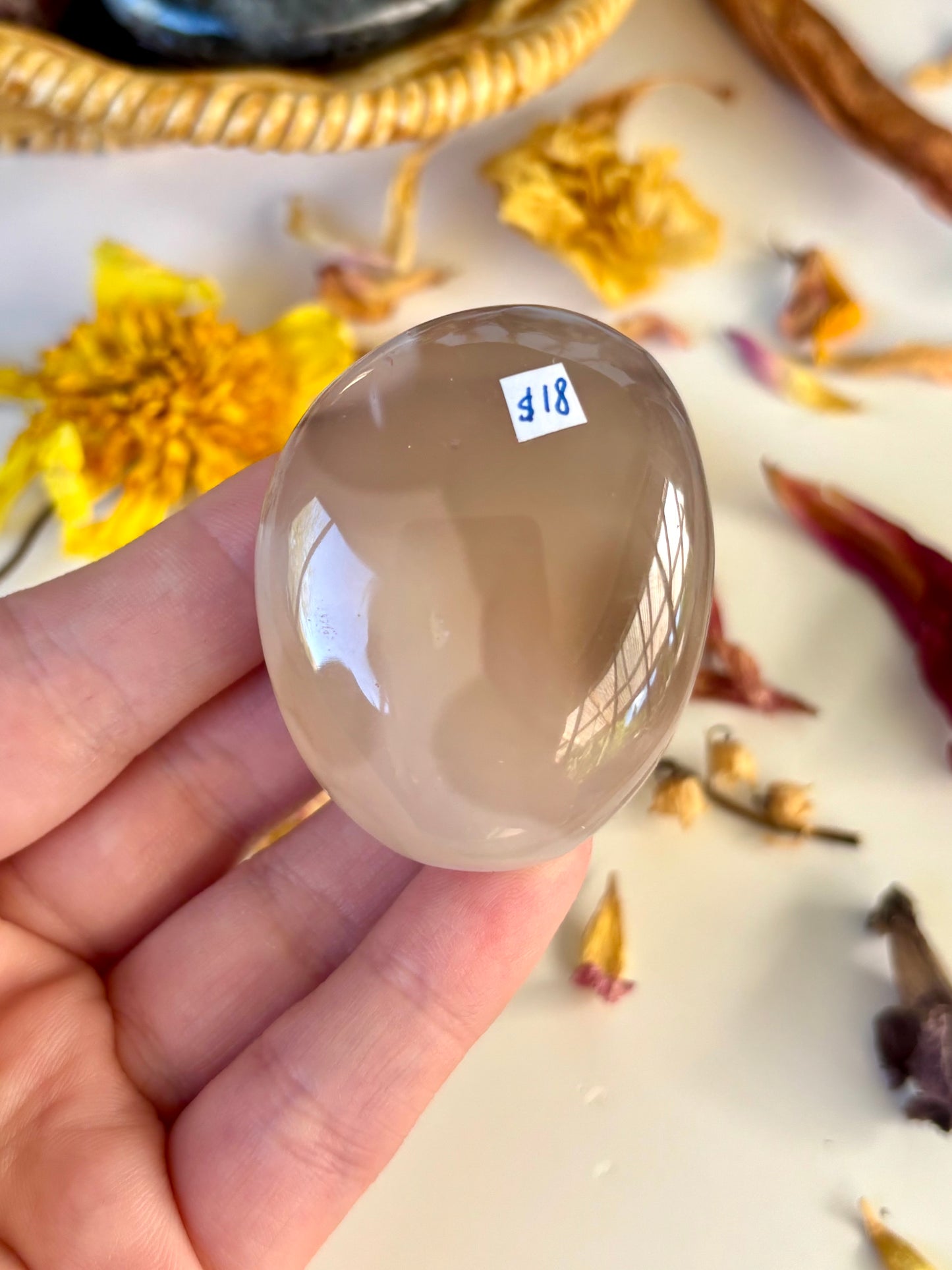 Orca Agate Palm with Druse