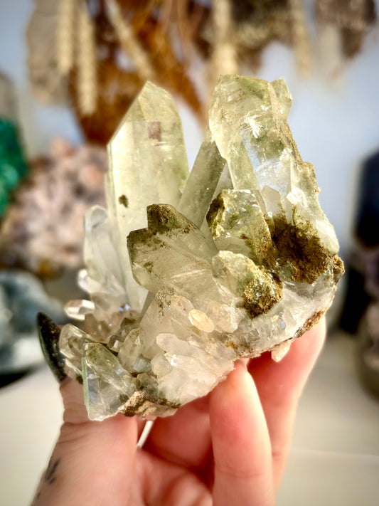 Chlorite Included Quartz