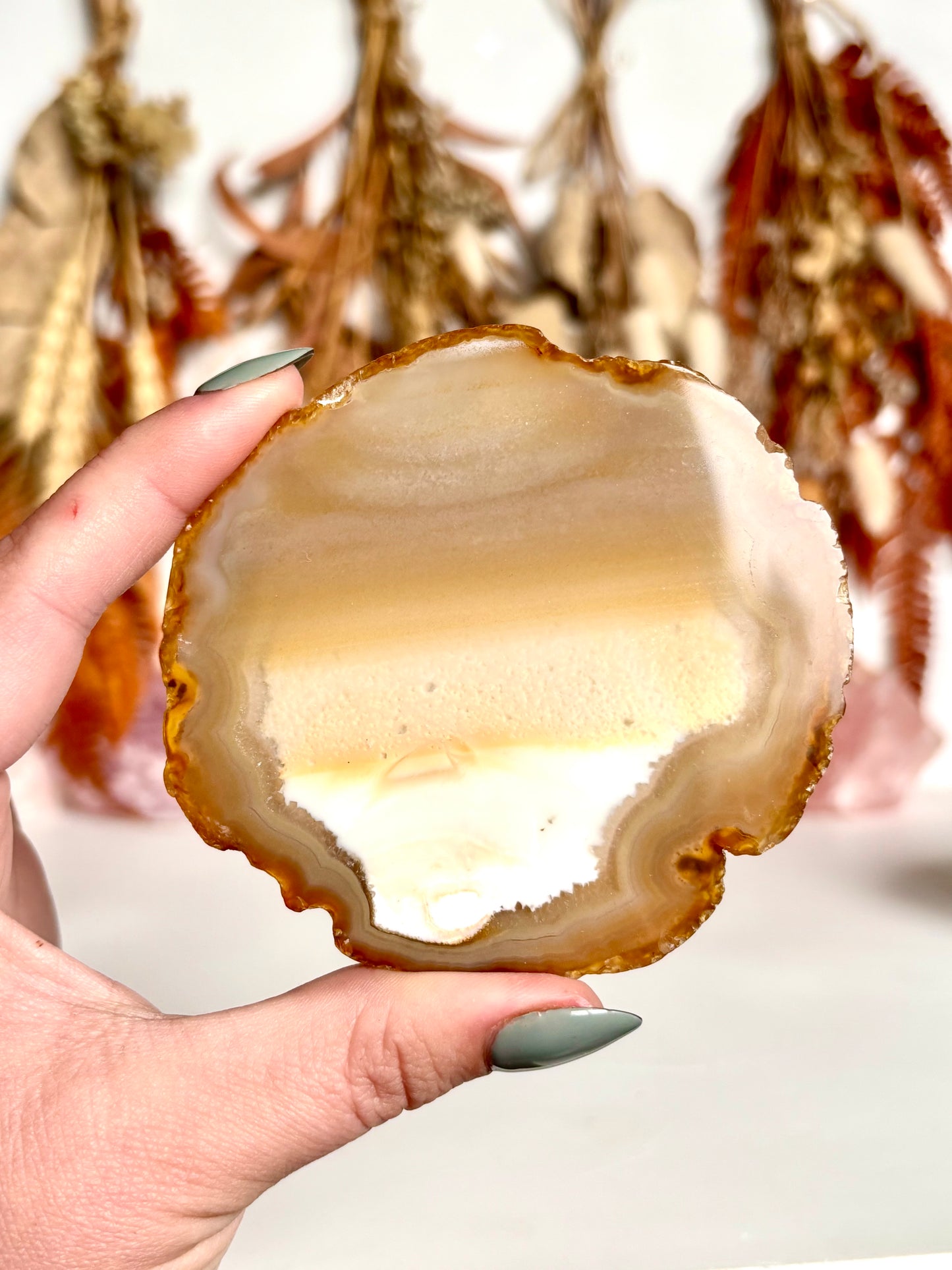 Agate Slice (1)