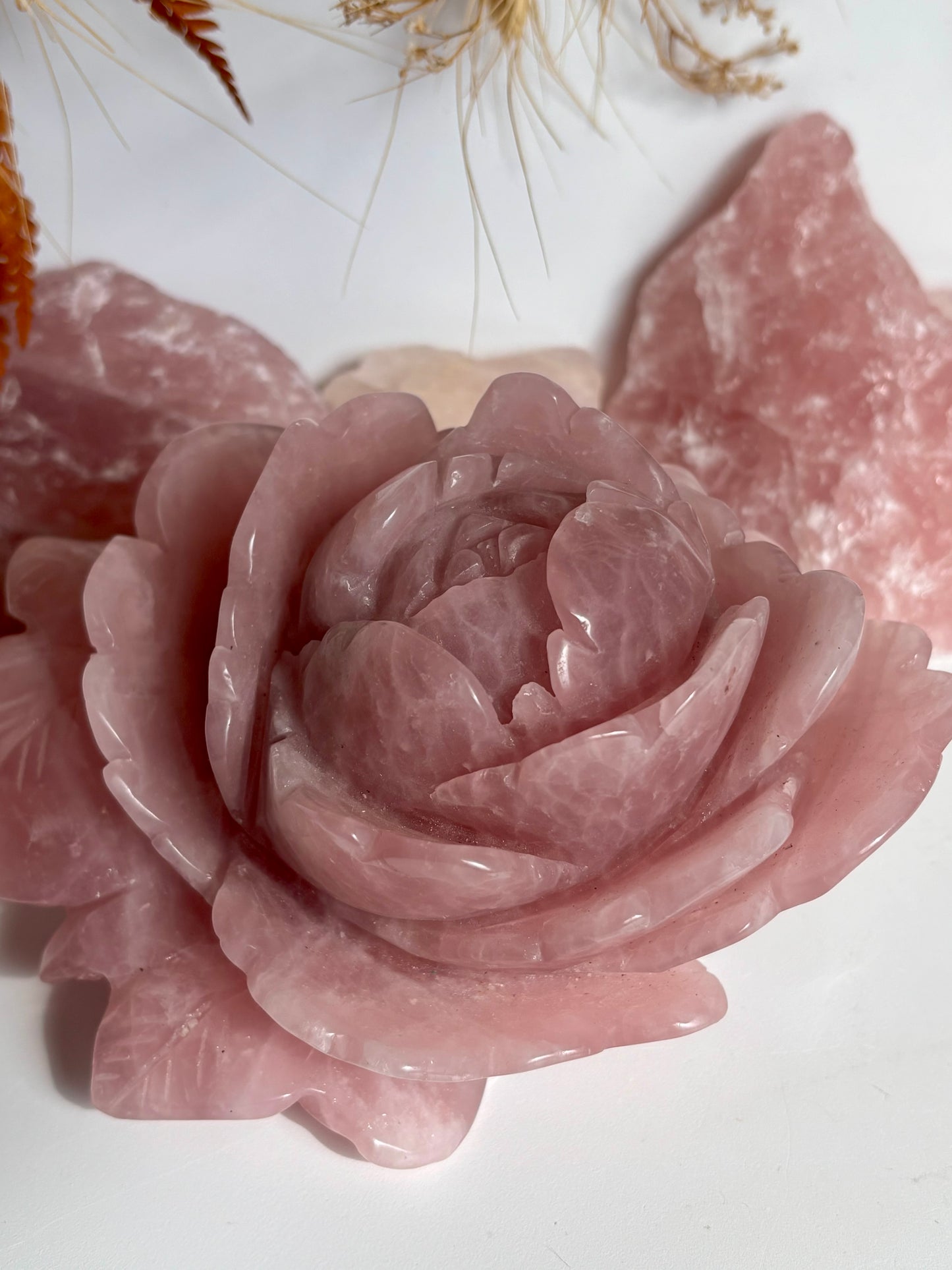 Large Rose Quartz Rose