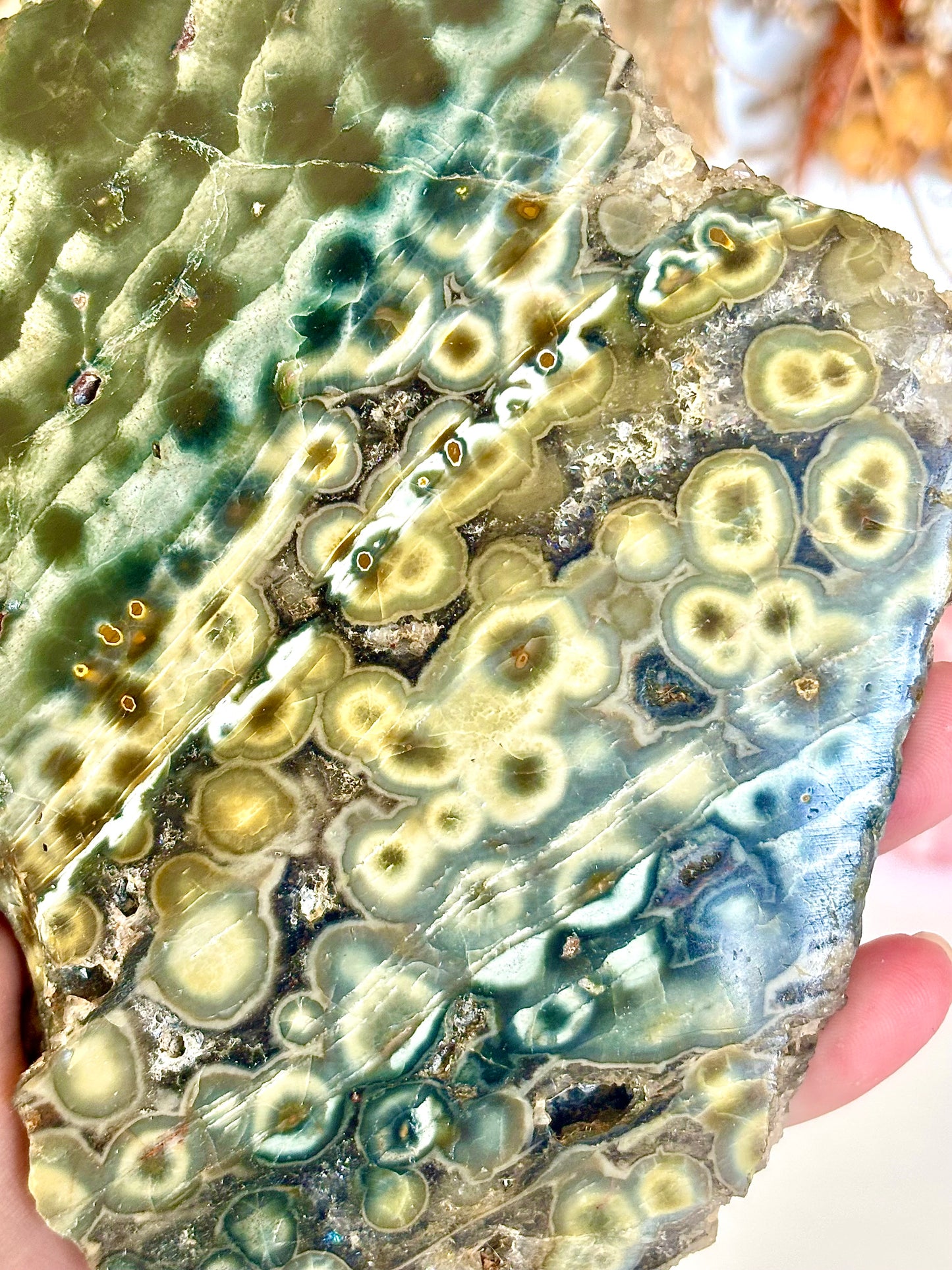 Ocean Jasper Slab (1)