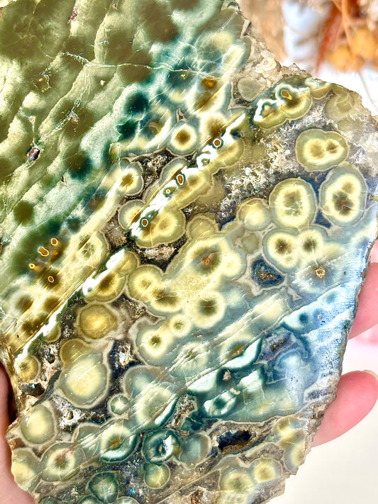 Ocean Jasper Slab (1)