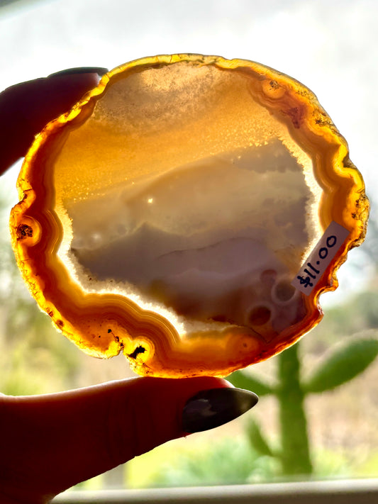 Agate Slice (1)