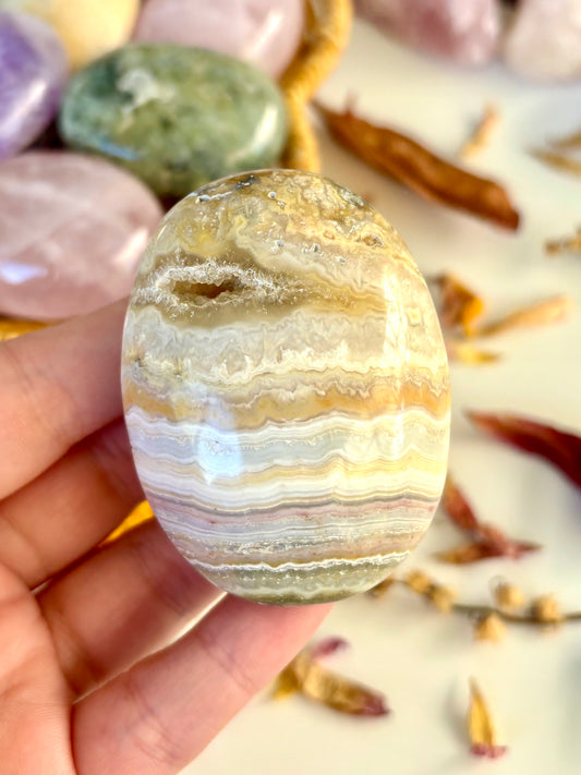 Yellow Lace Agate Palm