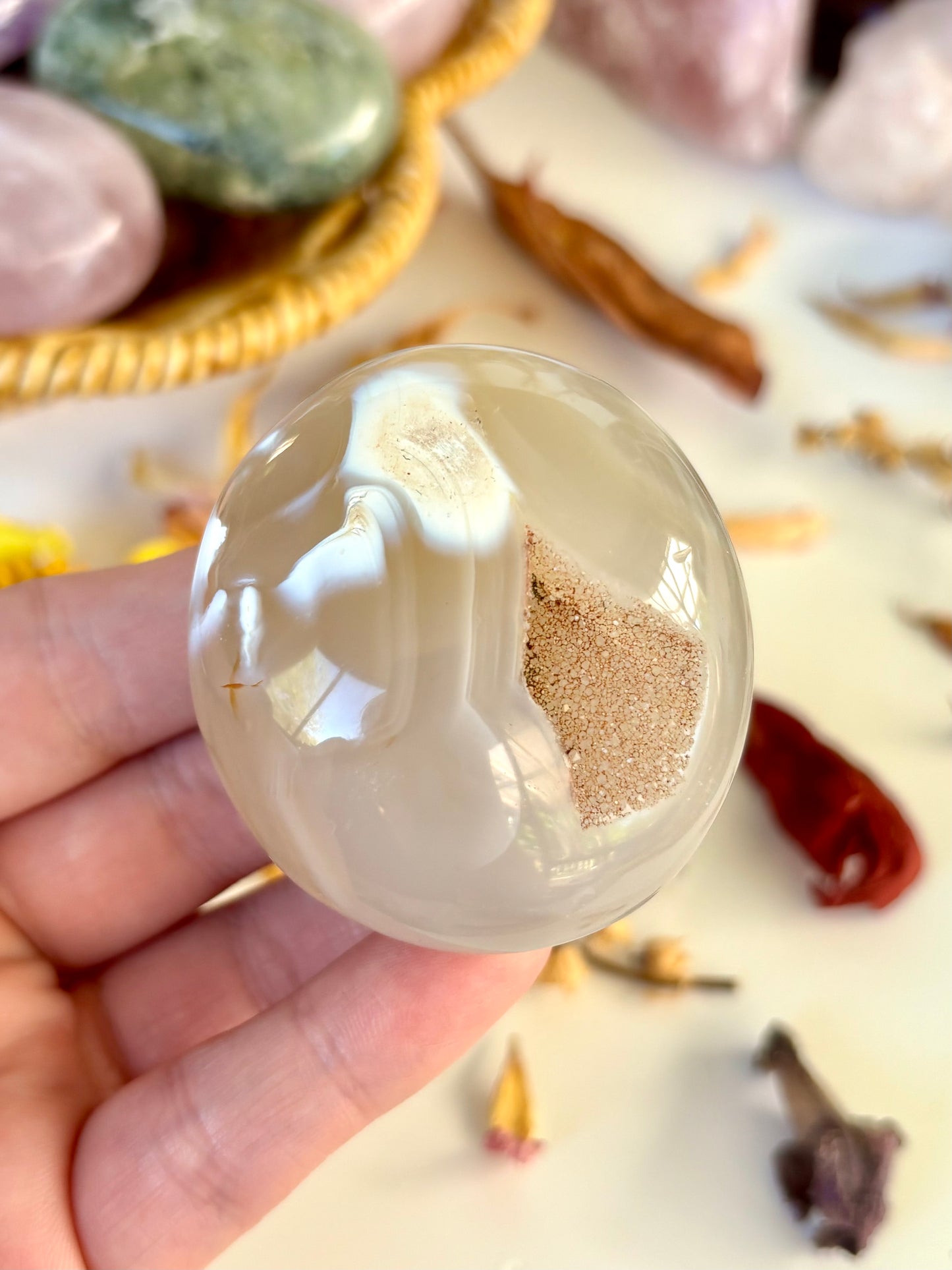 Orca Agate Palm with Druse