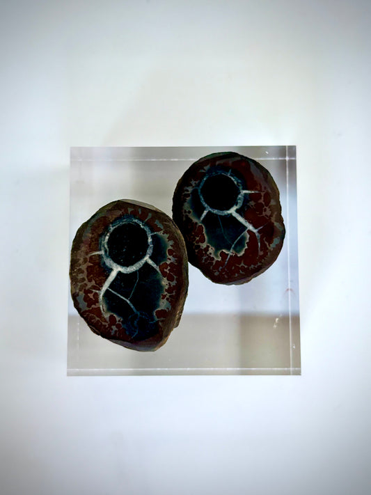 Septarian (Thunder Egg) Cut Pair