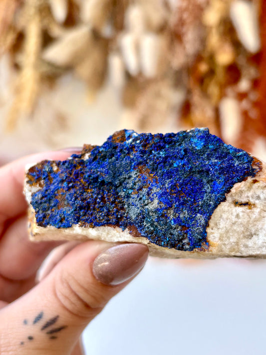 Azurite on Matrix (Morocco)
