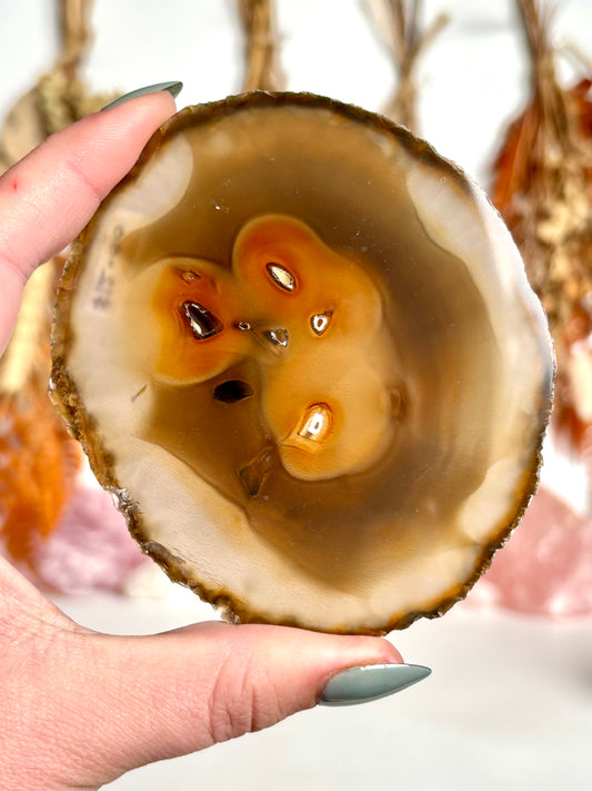 Agate Slice (3)