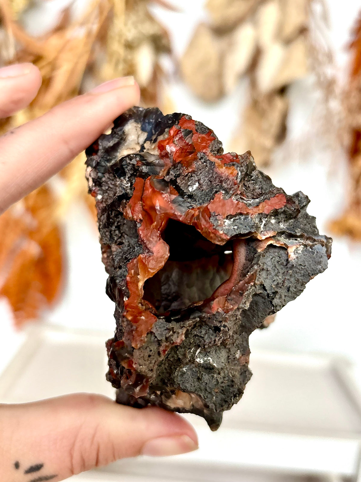 Red Fox Agate Botryoidal Geode (Rare)