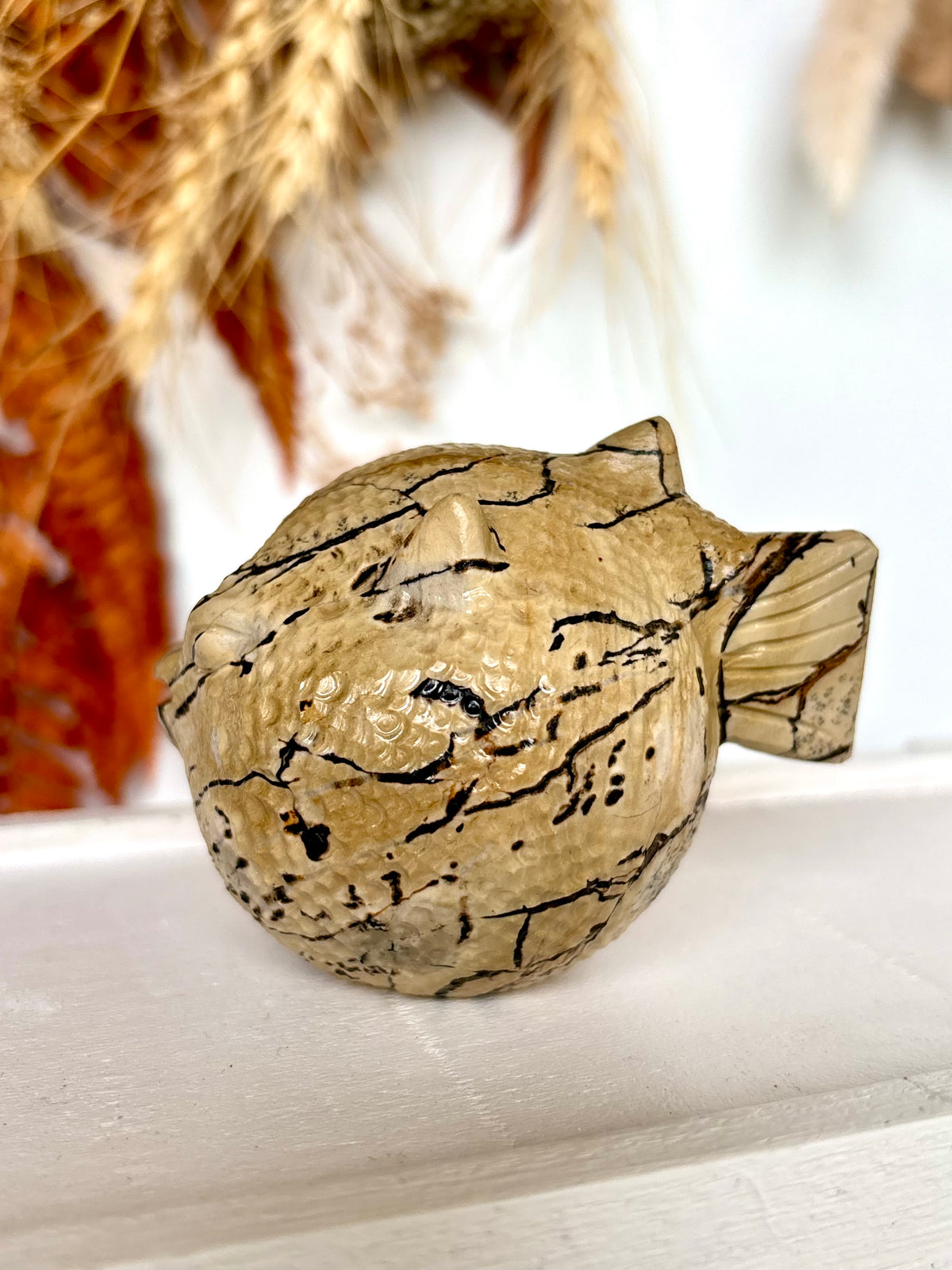 Picture Jasper Puffer Fish