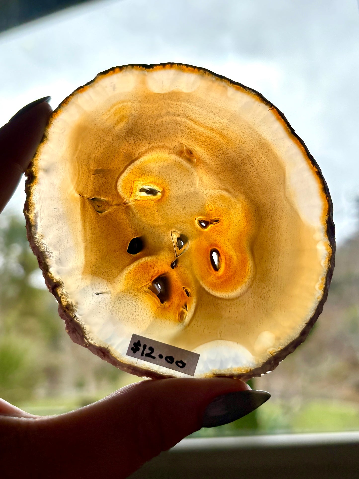 Agate Slice (3)