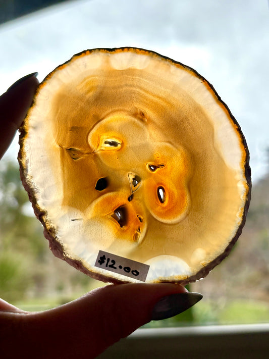 Agate Slice (3)