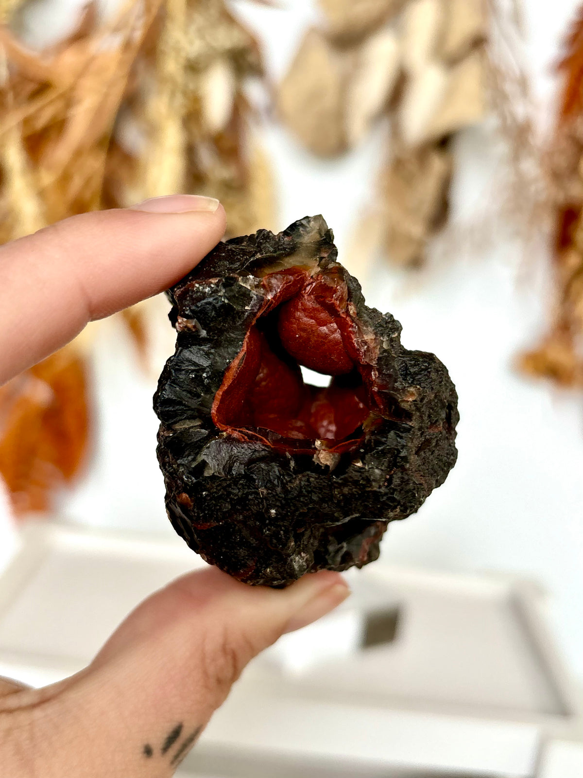 Red Fox Agate Botryoidal Geode (Rare)