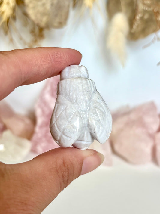White Plume Agate Bee (2)