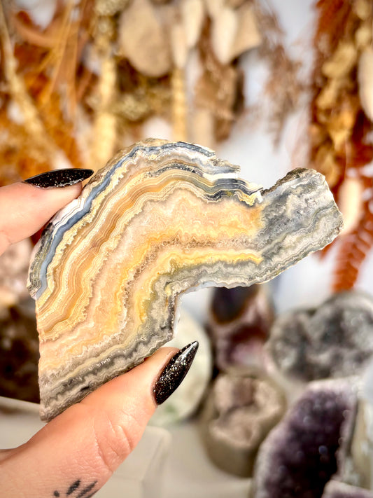 Black & Yellow Crazy Lace Agate Slab -Indonesia