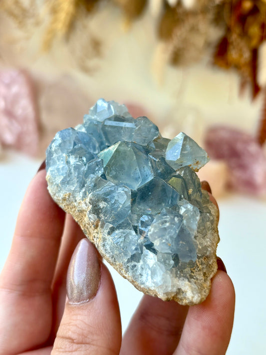 Celestite Cluster