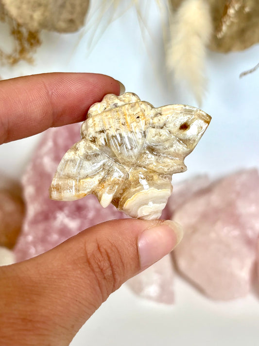 Golden Lace Agate Bee (1)