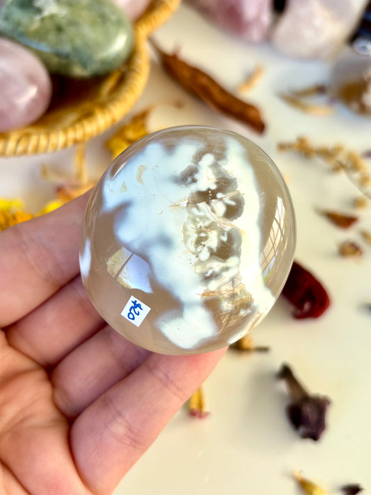 Orca Agate Palm with Druse