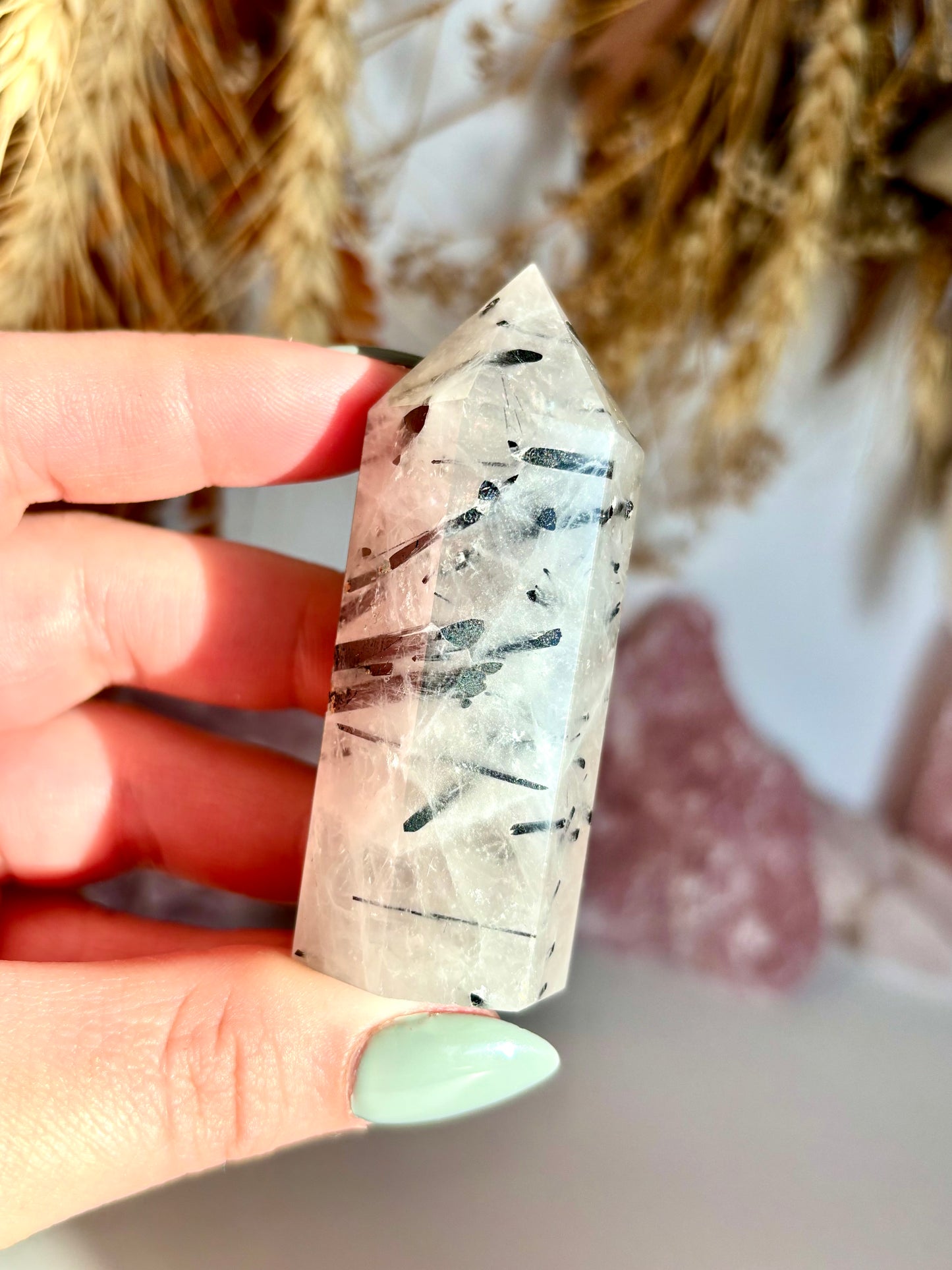 Black Tourmaline in Quartz Point
