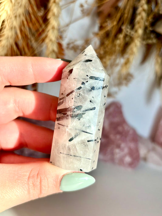 Black Tourmaline in Quartz Point