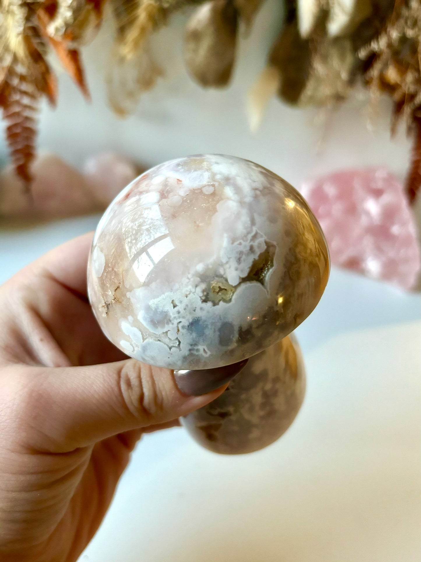 Flower Agate Mushroom (A)