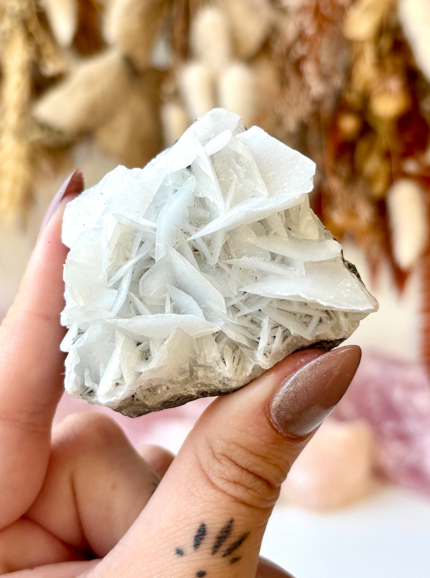 Angel Wing Calcite AA+