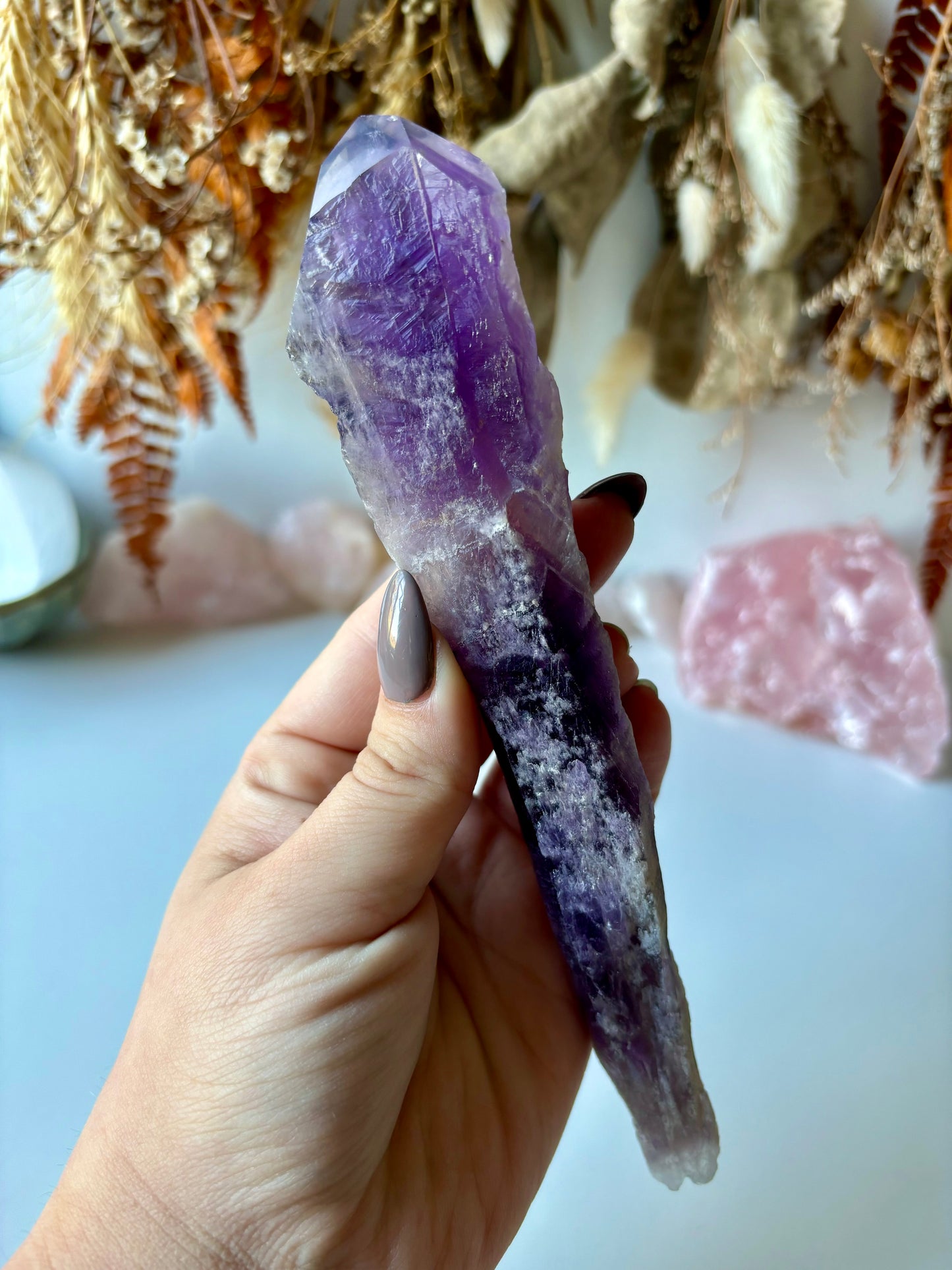 Bahia Amethyst (B)