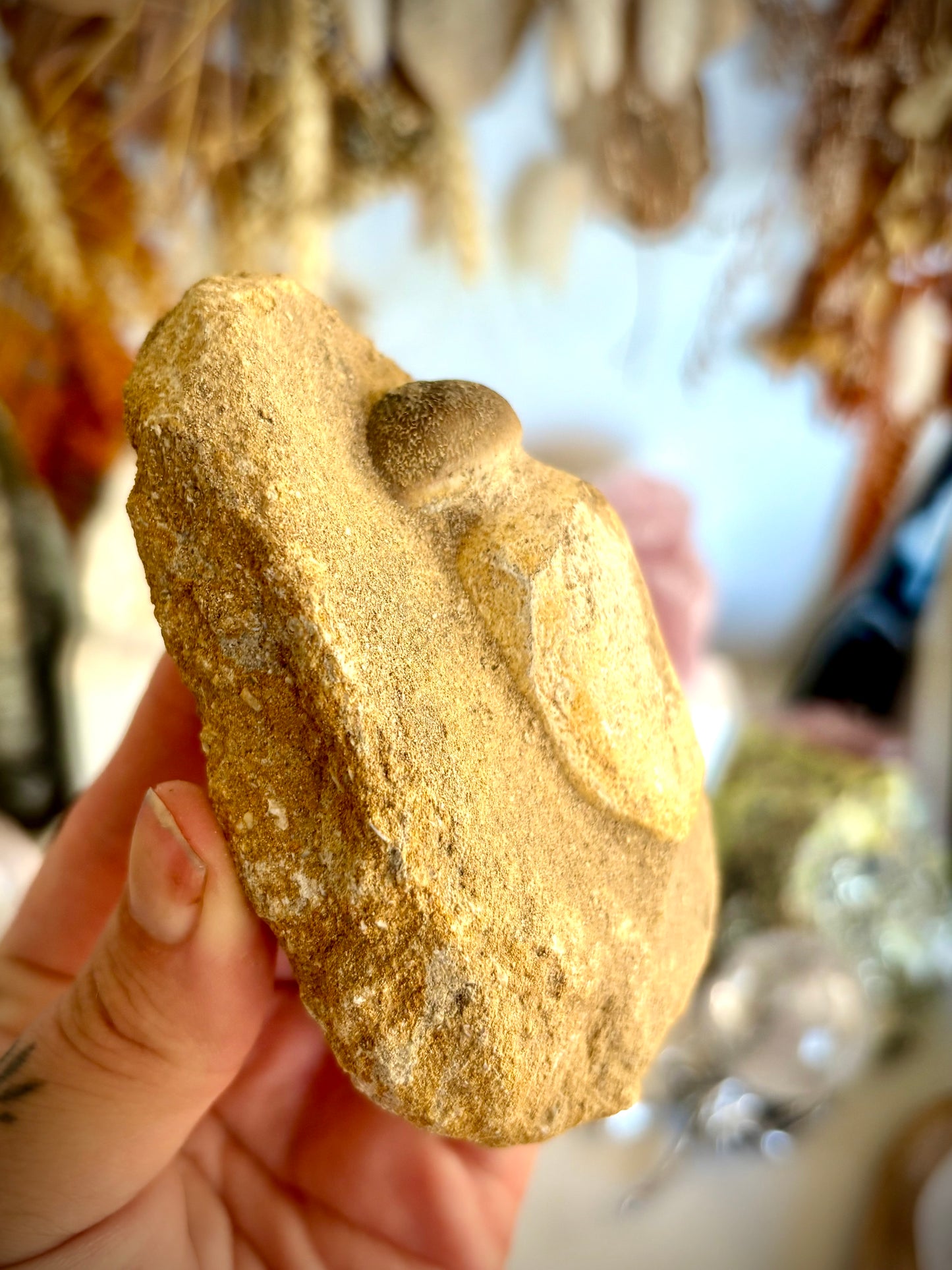 Mosasaur Tooth Fossil set in matrix