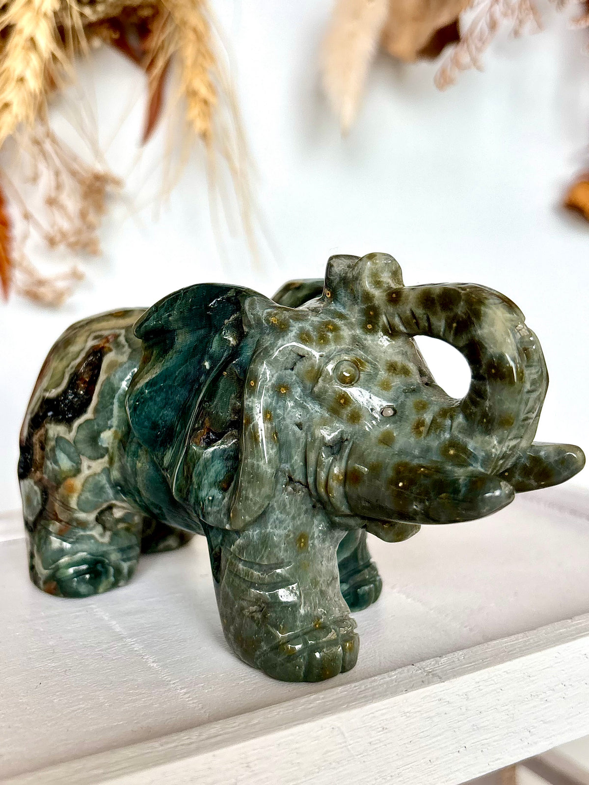 Ocean Jasper Elephant