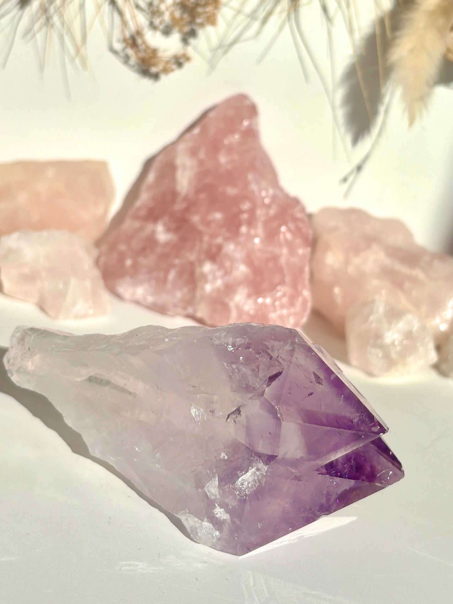 Double Point Amethyst Root