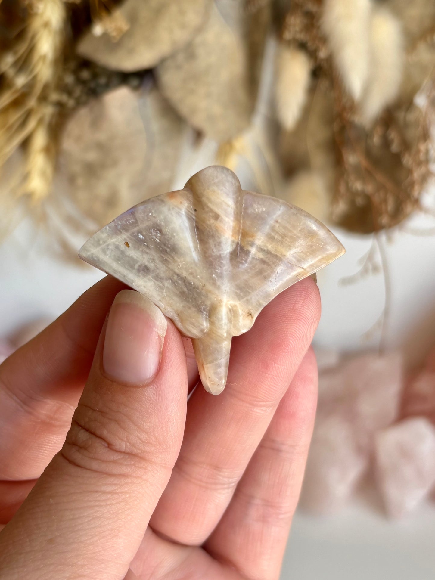 Moonstone Stingray