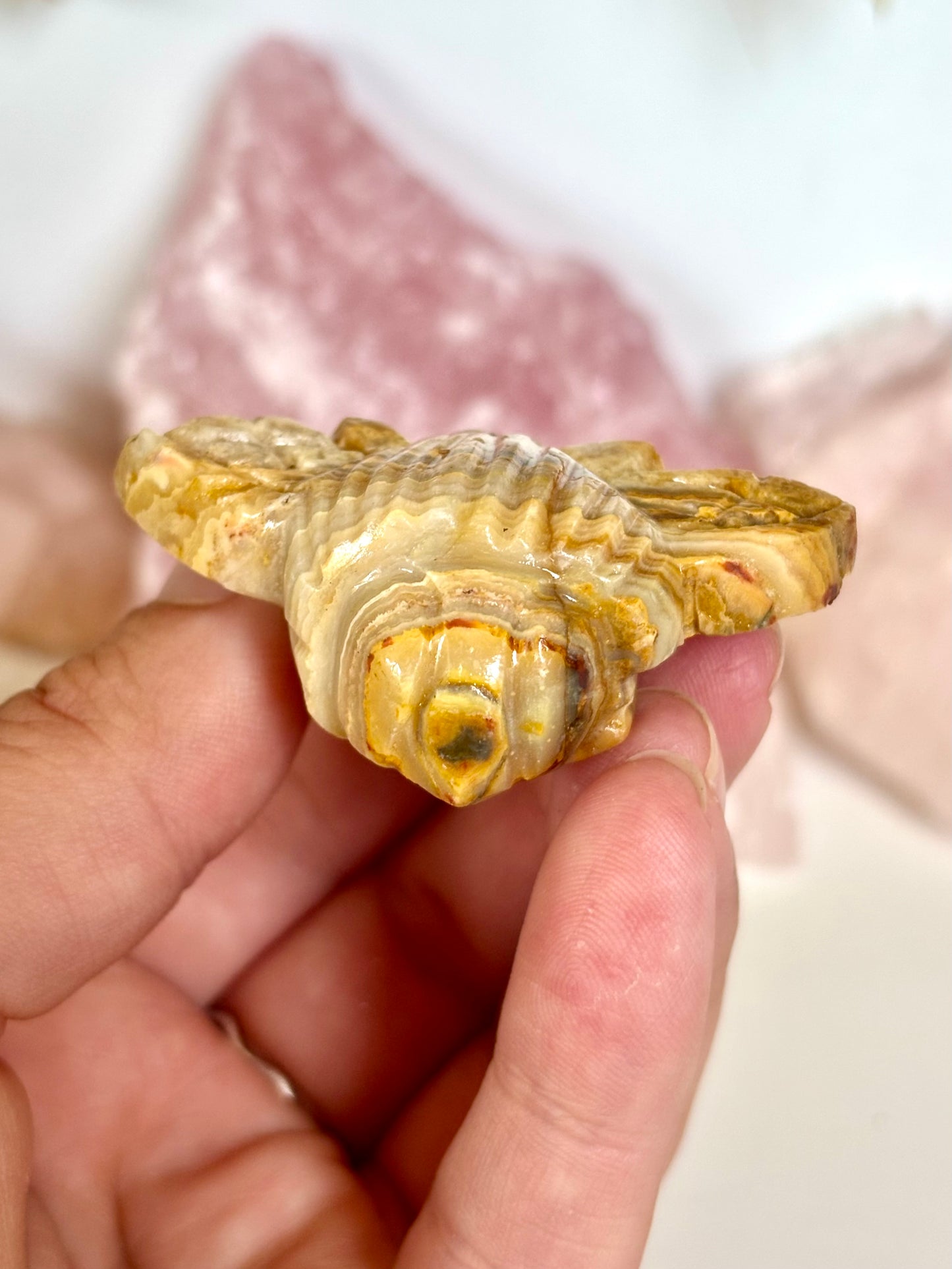 Golden Lace Agate Bee (5)