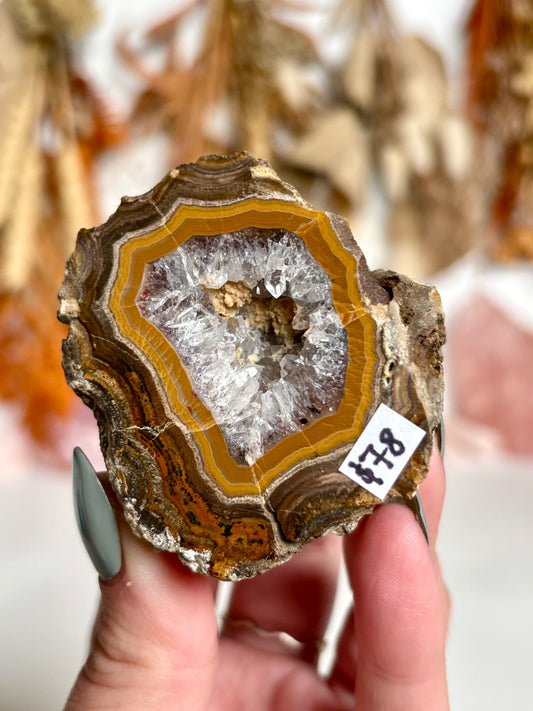 Mustard banded Agate with Quartz & Amethyst Geode