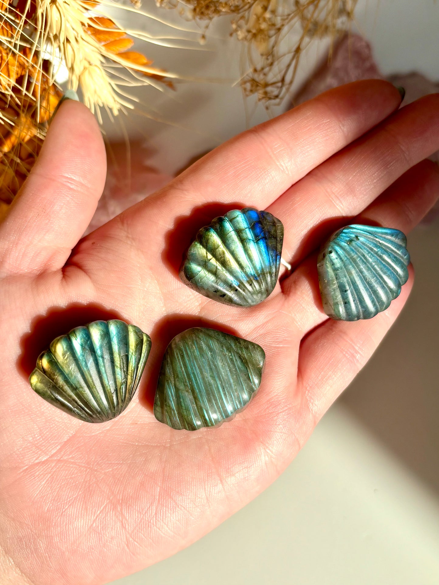 Labradorite Seashell