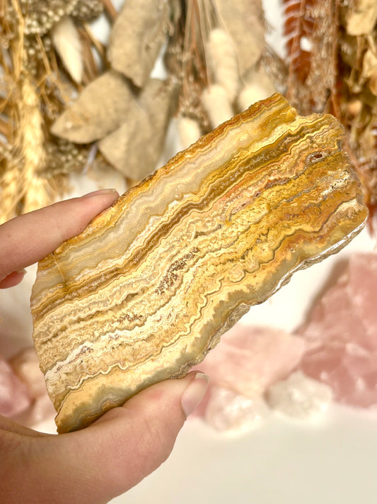 Yellow Lace Agate Slab