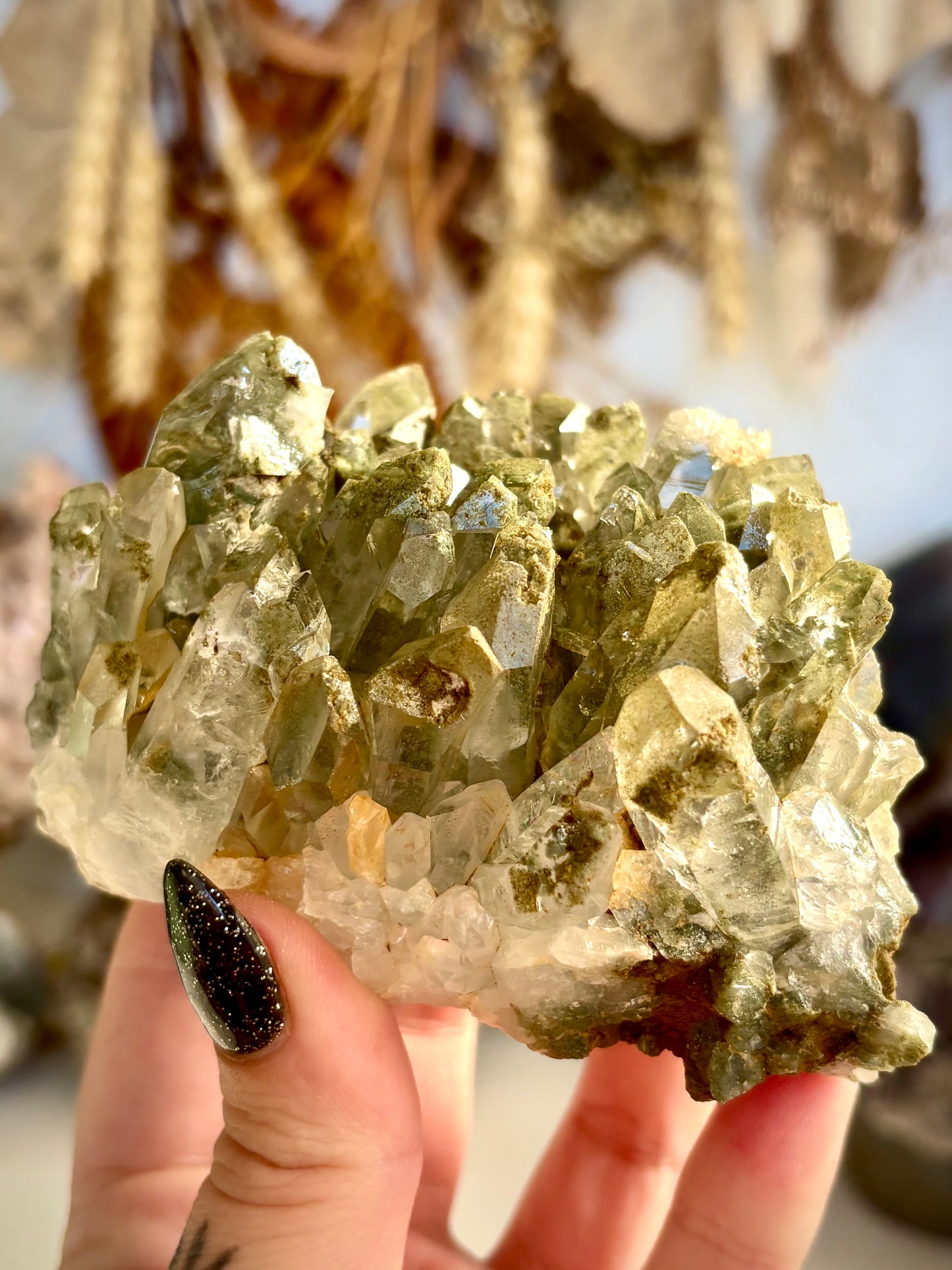 Chlorite Included Quartz