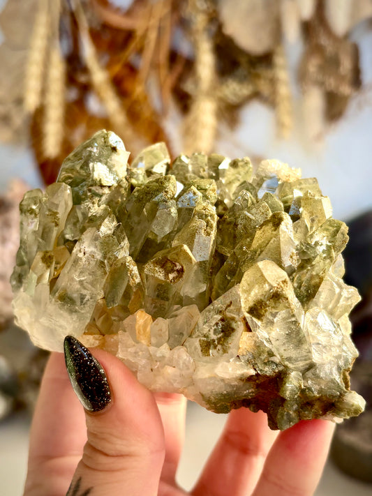 Chlorite Included Quartz