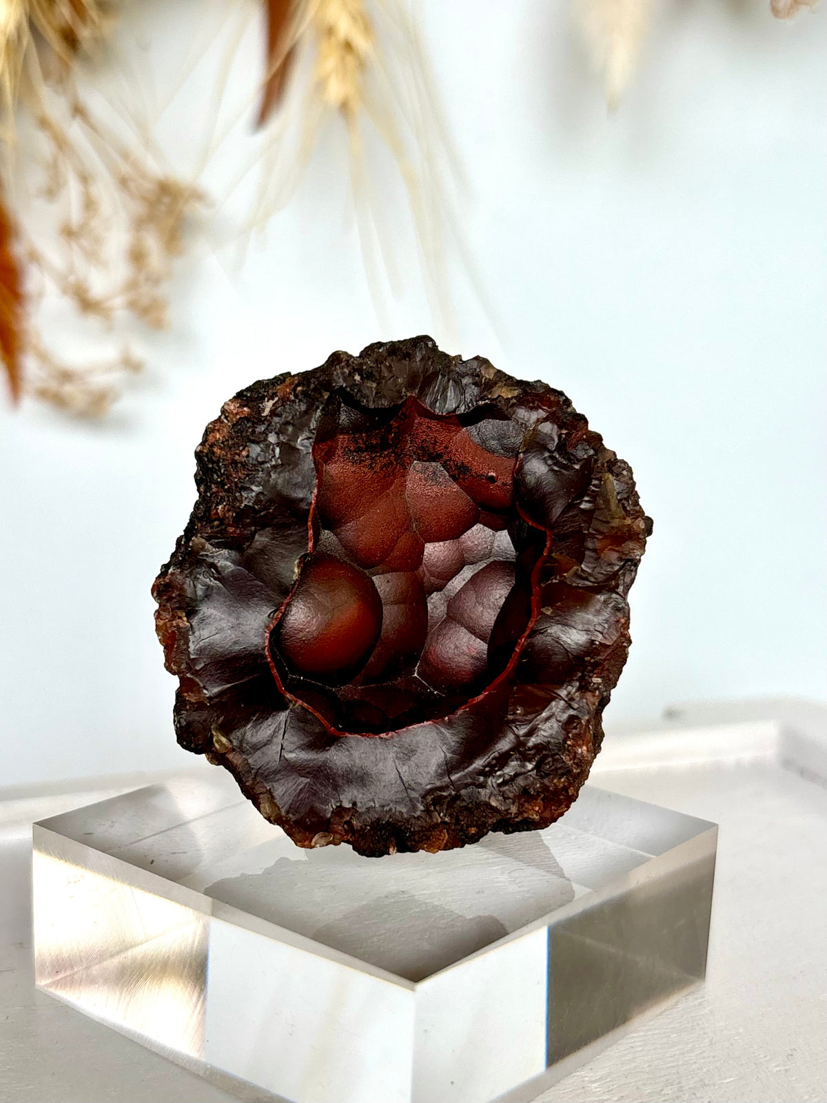 Red Fox Agate Botryoidal Geode (Rare) (06)