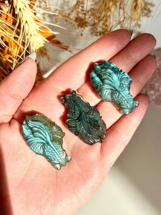 Labradorite Koi