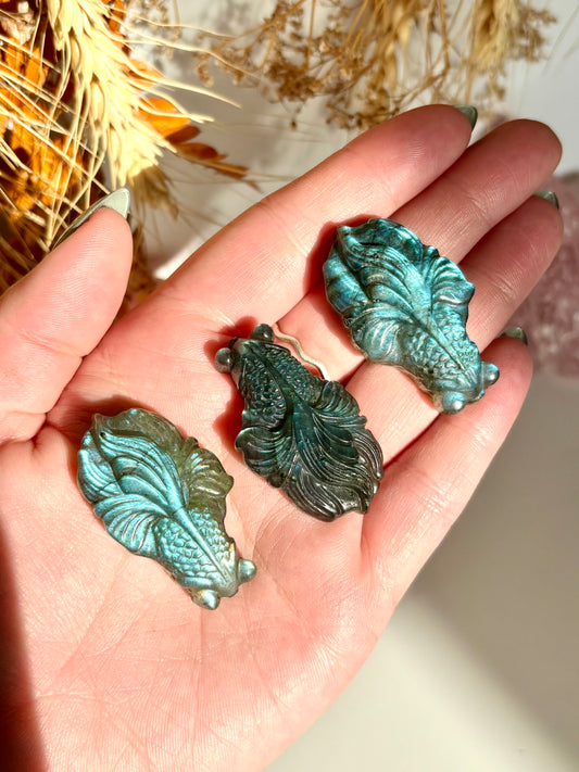 Labradorite Koi