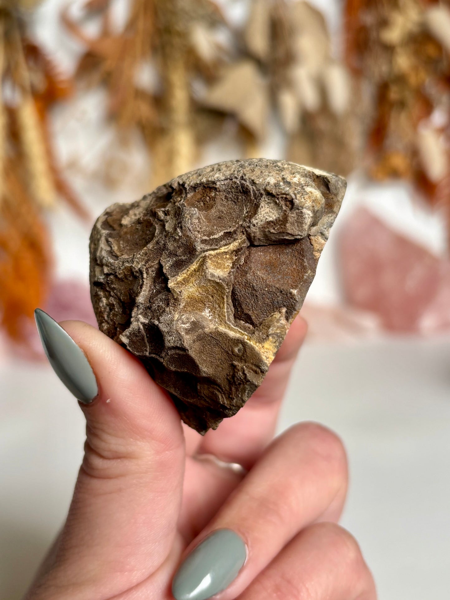 Mustard banded Agate with Quartz & Amethyst Geode