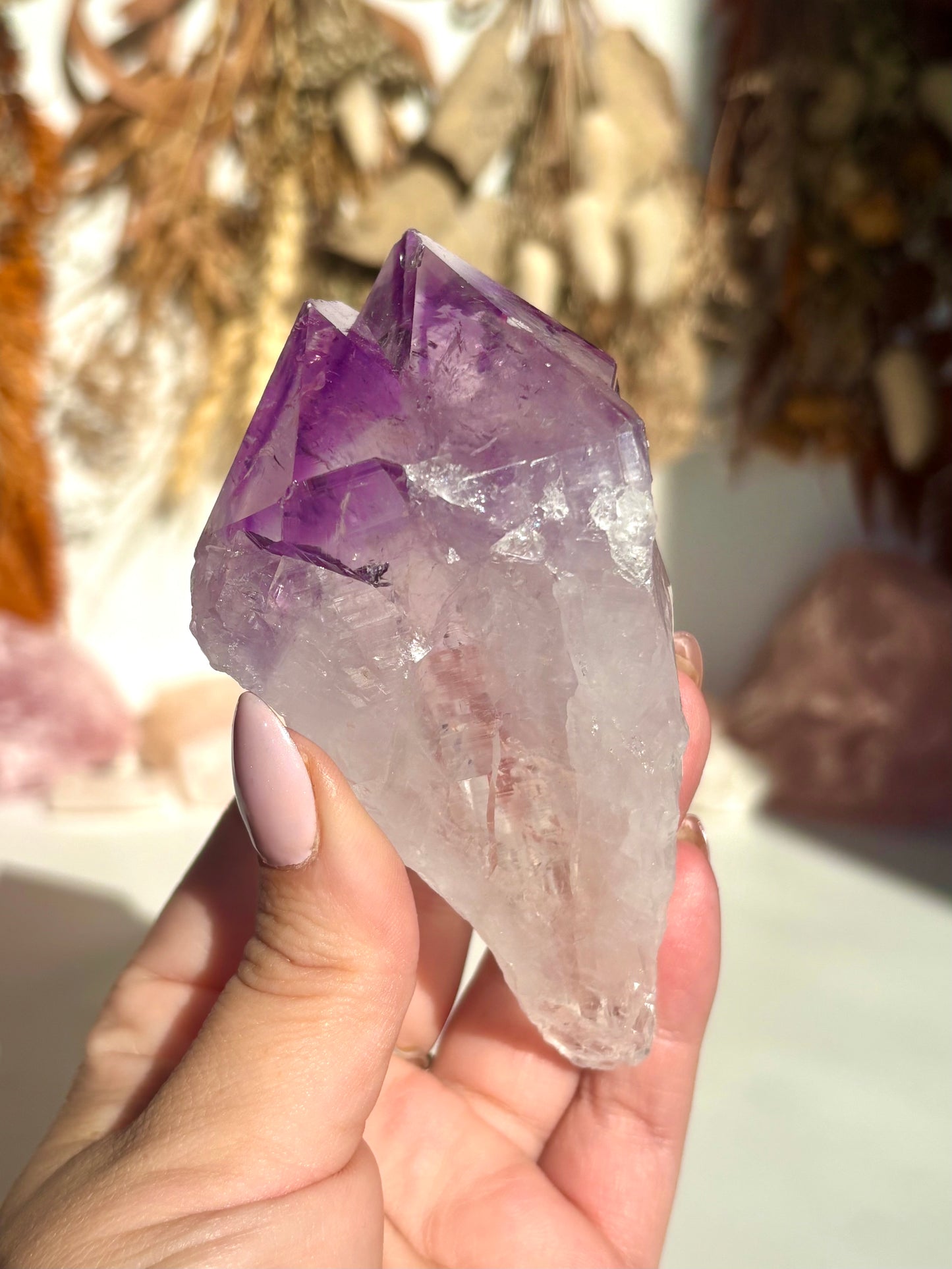Double Point Amethyst Root