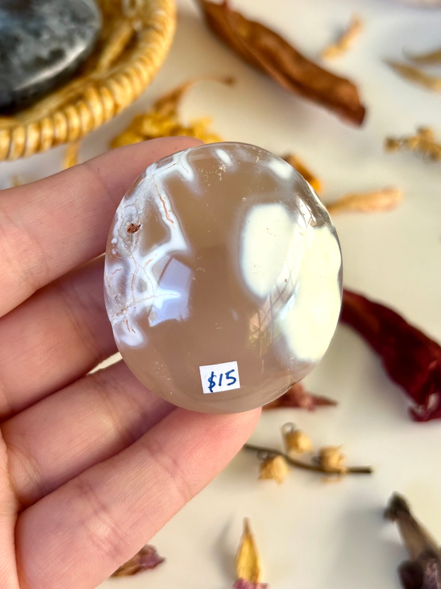 Orca Agate Palm with Druse