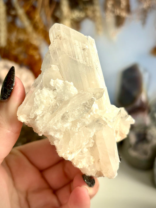 Selenite Cluster