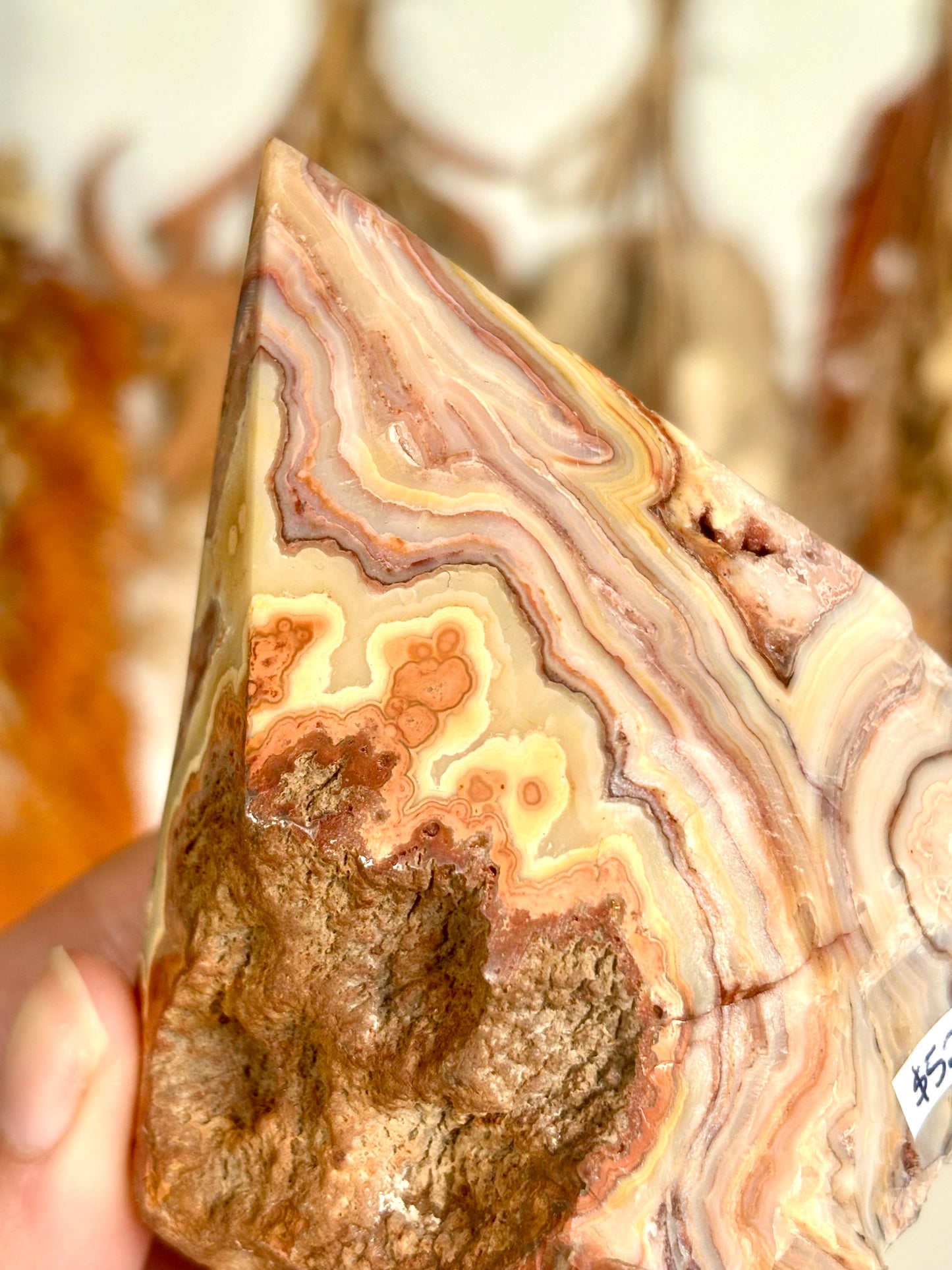 Crazy Lace Agate Cut Base (Indonesia)