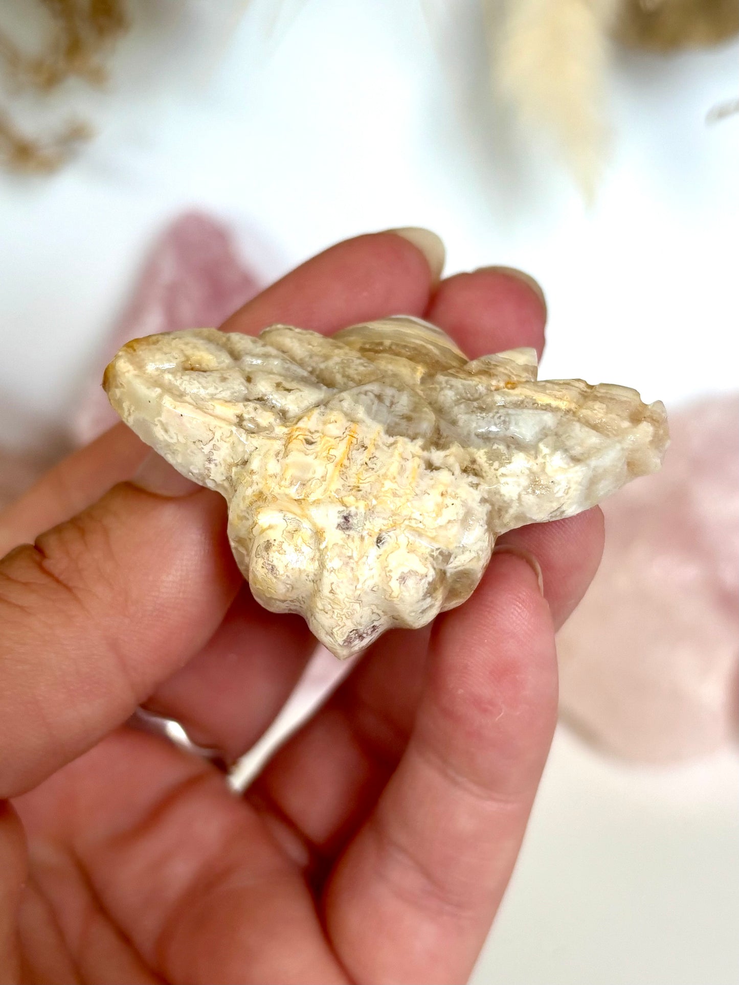 Golden Lace Agate Bee (1)
